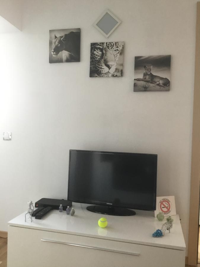White Dream Suites Iasi Eksteriør bilde
