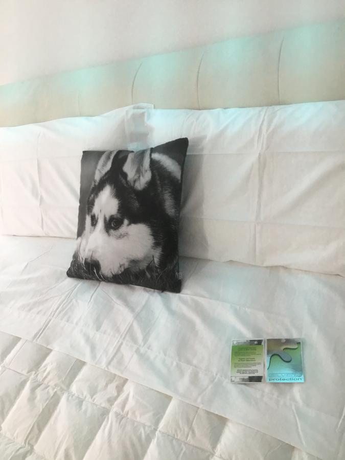White Dream Suites Iasi Eksteriør bilde